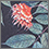 eucalyptus floral