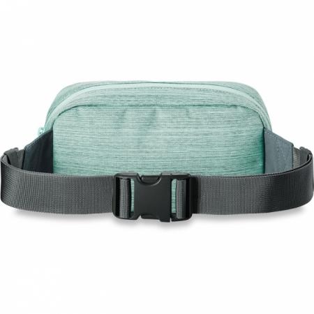Сумка на пояс DAKINE Rad Hip Pack (10001217) brighton