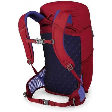 Рюкзак Osprey Jet 18L (5-447-1-0) cosmic red