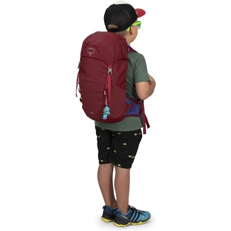 Рюкзак Osprey Jet 18L (5-447-1-0) cosmic red