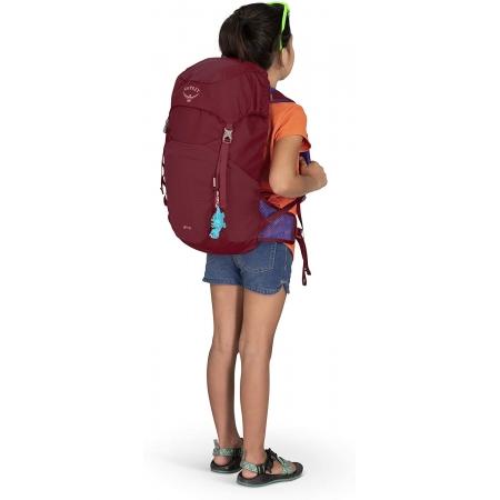 Рюкзак Osprey Jet 18L (5-447-1-0) cosmic red