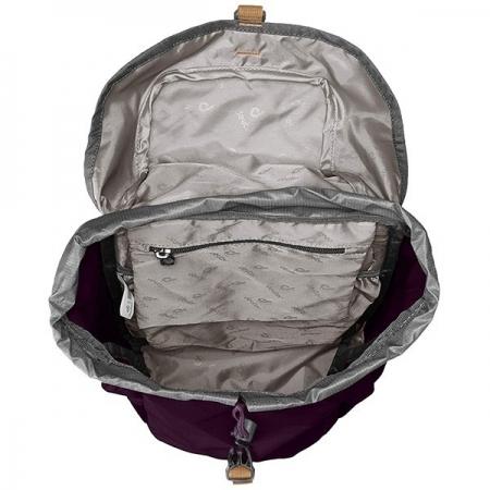 Рюкзак Deuter Walker 16L (3810517 5317) plum-navy