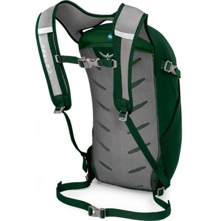 Рюкзак Osprey Daylite 13L (5-481-1-0) ever green