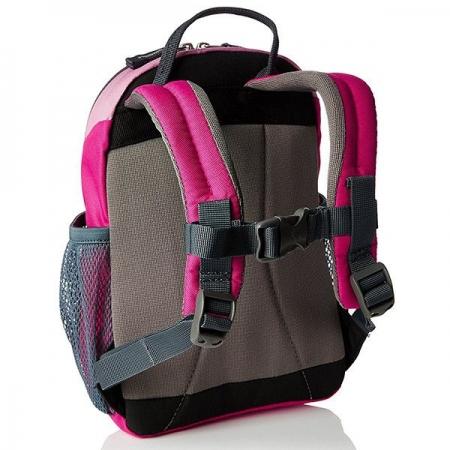 Рюкзак Deuter Pico 5L (36043 5040) pink