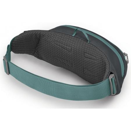 Сумка на пояс Osprey Daylite Waist (10003827) basanite/eclipse