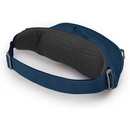 Сумка на пояс Osprey Daylite Waist (10003247) wave blue