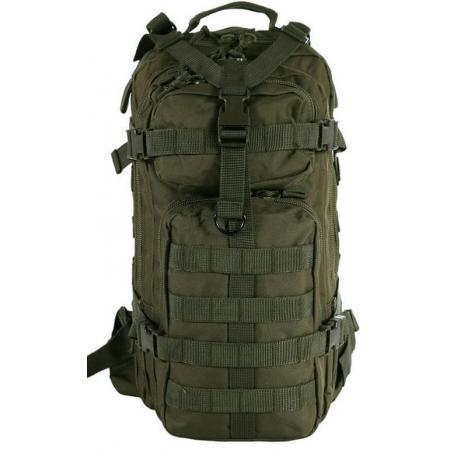 Рюкзак чоловічий Camo Assault 25L (PL-AS-BP-OG) olive green
