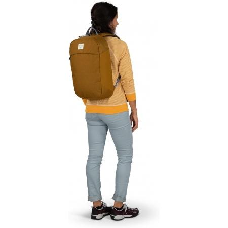 Рюкзак Osprey Arcane Large Day 20L (10005116) brindle brown heather