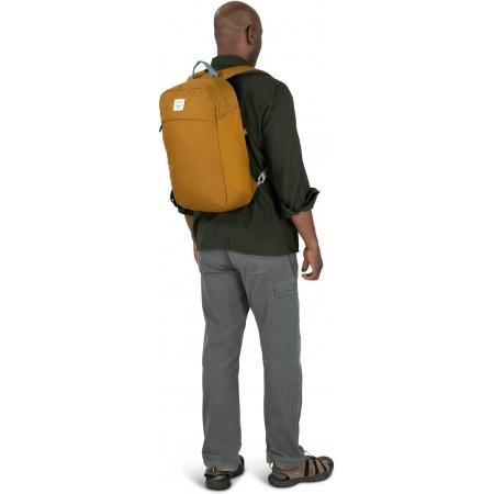 Рюкзак Osprey Arcane Large Day 20L (10005116) brindle brown heather