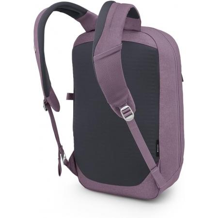 Рюкзак Osprey Arcane Large Day 20L (10005630) purple dusk heather