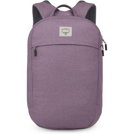 Рюкзак Osprey Arcane Large Day 20L (10005630) purple dusk heather