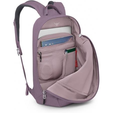Рюкзак Osprey Arcane Large Day 20L (10005630) purple dusk heather