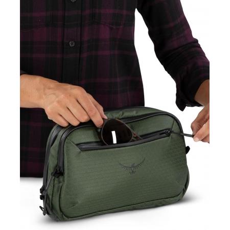 Сумка нагрудная Osprey Archeon Chest Rig 4L (10005920) scenic valley