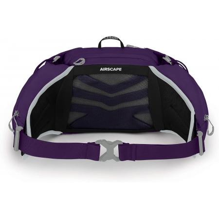 Сумка на пояс жіноча Osprey Tempest 6L (10002749) violac purple