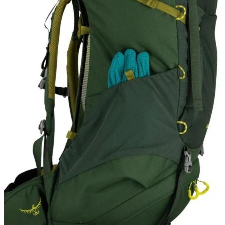 Рюкзак Osprey Ace 50L (10006510) green canopy