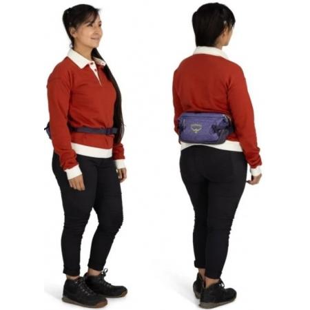 Сумка на пояс Osprey Transporter Waist Pack 3L (10006531) euphoria purple/purple ink
