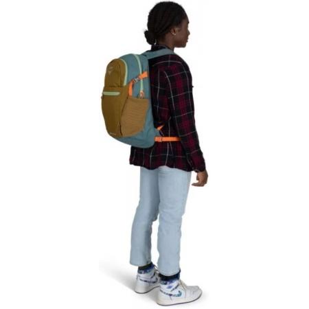 Рюкзак Osprey Daylite Plus Earth 20L (10006639) histosol brown/cascade blue