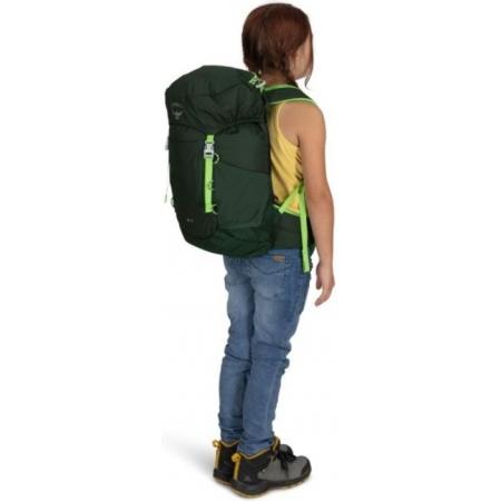 Рюкзак Osprey Jet 18L (10006499) green canopy/limeline green
