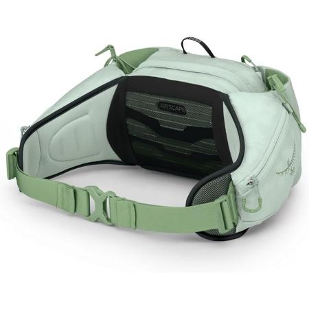 Сумка на пояс жіноча Osprey Tempest 6L (10006823) frosty mint green/botanica
