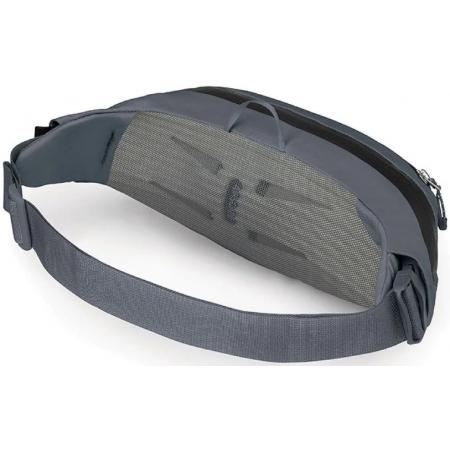 Сумка на пояс Osprey Daylite Waist Earth 2L (10007004) tungsten grey