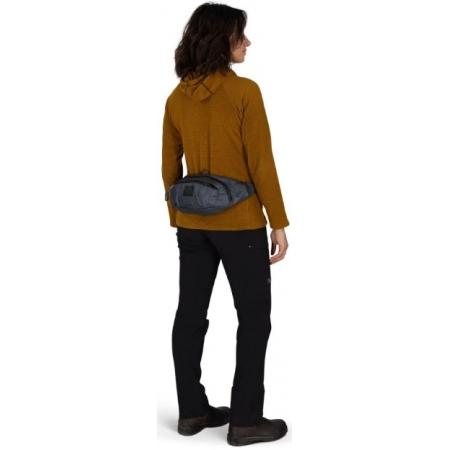 Сумка на пояс Osprey Daylite Waist Earth 2L (10007004) tungsten grey