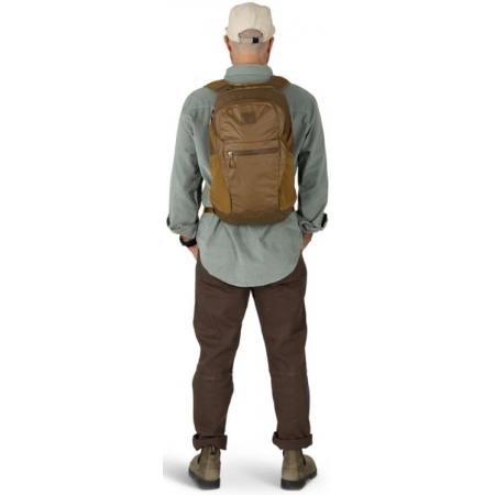 Рюкзак Osprey Daylite Plus Earth 20L (10007009) histosol brown