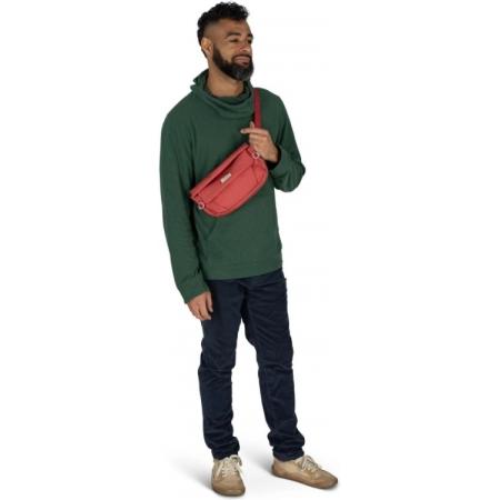 Сумка на пояс Osprey Arcane Hip Bag 2L (10006944) red pampas
