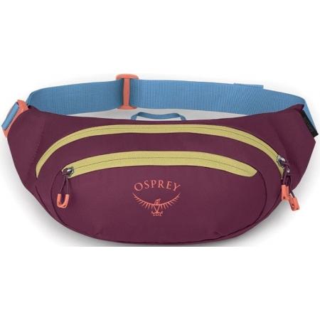 Сумка на пояс Osprey Daylite Waist (10006962) moody burgundy