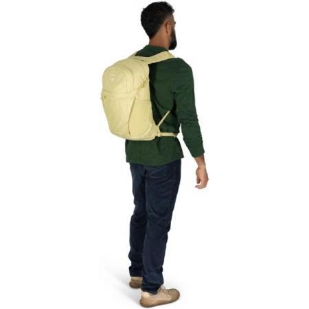 Рюкзак Osprey Daylite Plus 20L (10006957) wander yellow
