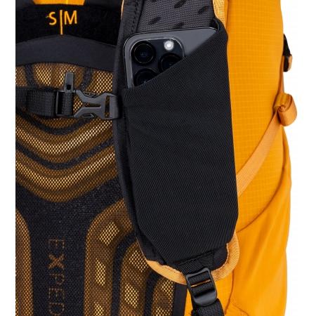 Рюкзак Exped Skyline 20L (7640277847736) gold