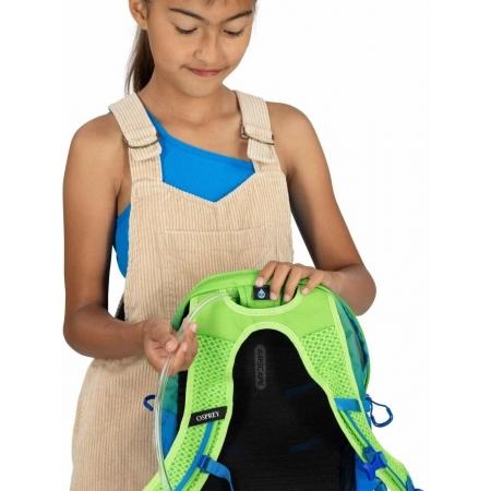 Рюкзак Osprey Daylite Jr 10L (10007221) frost moon