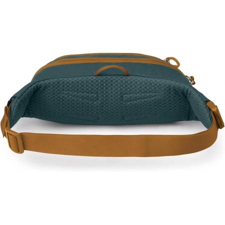 Сумка на пояс Osprey Daylite Waist (10007146) torrent blue