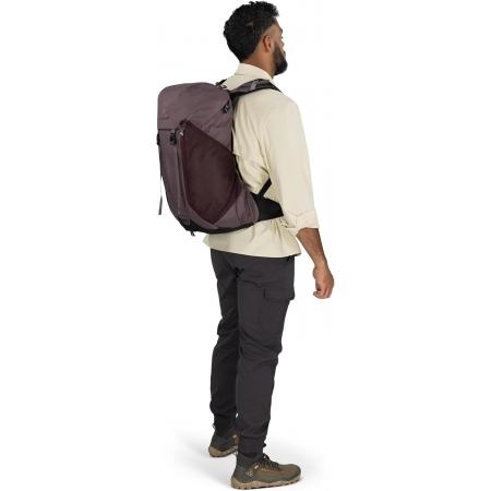 Рюкзак Osprey Hikelite LT 30L (10007576) graphite purple
