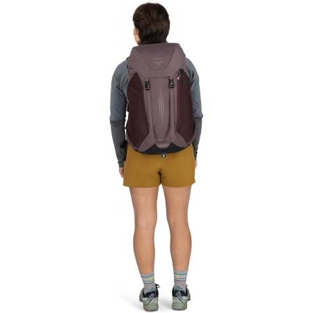 Рюкзак Osprey Hikelite LT 30L (10007576) graphite purple