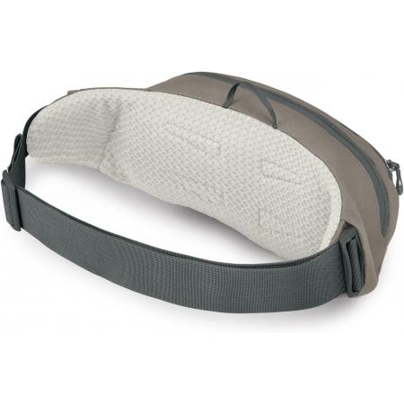Сумка на пояс Osprey Daylite Waist (10007147) mystery white multi