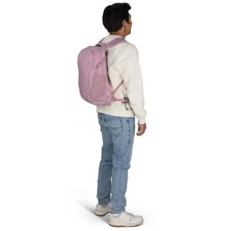 Рюкзак Osprey Daylite 13L (10007136) iris pink