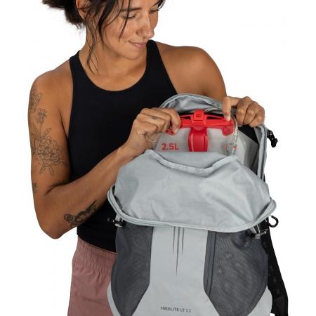 Рюкзак Osprey Hikelite LT 22L (10007571) silver lining