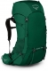 mallard green