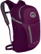 eggplant purple