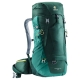 forest-alpinegreen