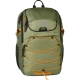 cedar green