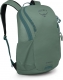 pine leaf green