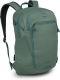 pine leaf green