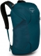 night jungle blue