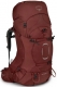acorn red
