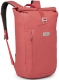 red pampas