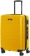cat yellow