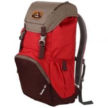 Рюкзак Deuter Walker 20L (3810617 5005) cranberry-aubergine