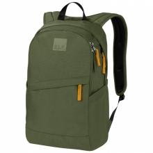 Рюкзак Jack Wolfskin Perfect day 22L (2007682-4129) marsh