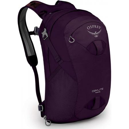 Рюкзак Osprey Daylite Travel (5-483-1-0) amulet purple
